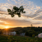 Entry image for Just a beautiful  sunset in the southern end of the county