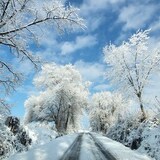 Entry image for Winter Beauty in  Strasburg, PA
