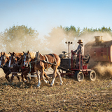 Entry image for Isaac Baling Hay