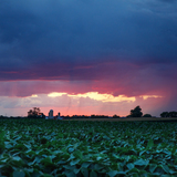 Entry image for Before the storm, near Farmersville Rd.