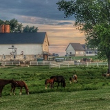 Entry image for Quiet moment on countryside 