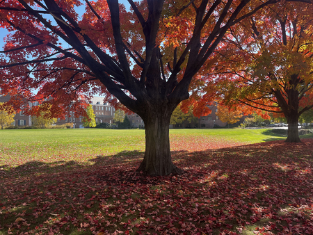 Entry image for Fall Colors at F&M. Clicking this image will show a larger photo