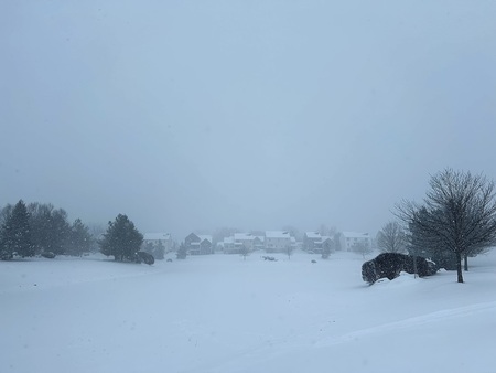 Entry image for Snowy morning - January 25, 2026. Clicking this image will show a larger photo