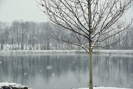 Entry image for Winter snow over the pond at Ephrata Township Community Park.. Clicking this image will show a larger photo