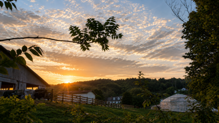 Entry image for Just a beautiful  sunset in the southern end of the county. Clicking this image will show a larger photo