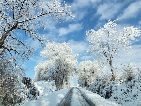 Entry image for Winter Beauty in  Strasburg, PA. Clicking this image will show a larger photo