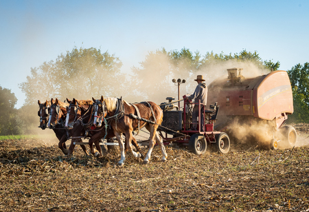 Entry image for Isaac Baling Hay. Clicking this image will show a larger photo