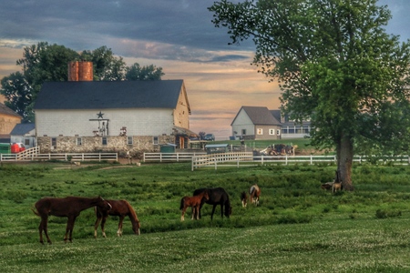 Entry image for Quiet moment on countryside . Clicking this image will show a larger photo