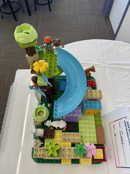 Entry image for Crazy. Clicking this image will show a larger photo