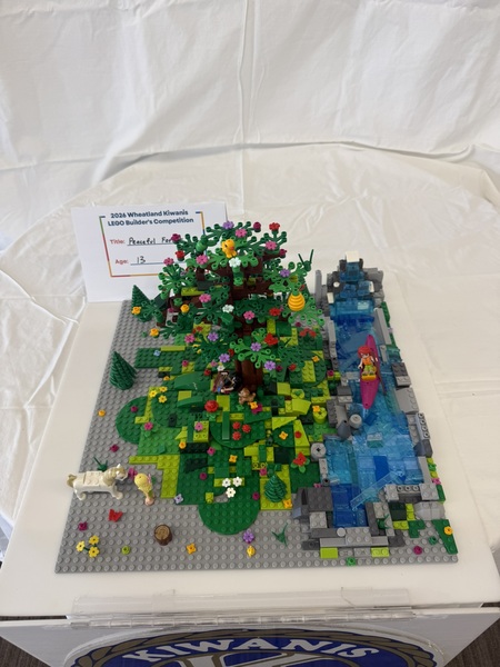 Entry image for Peaceful Forest. Clicking this image will show a larger photo