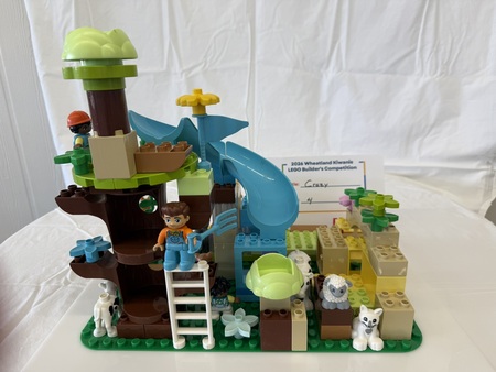 Entry image for Crazy. Clicking this image will show a larger photo