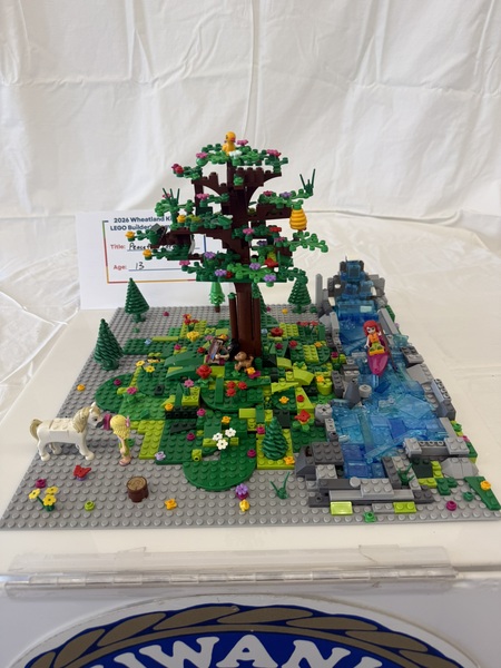 Entry image for Peaceful Forest. Clicking this image will show a larger photo