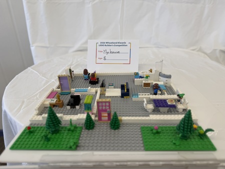 Entry image for My House. Clicking this image will show a larger photo