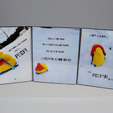 Entry image for The Little Snow Peep