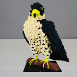 Entry image for Frederick the Falcon