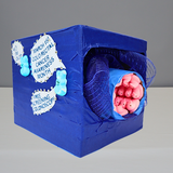 Entry image for Let's take a PEEP at your Polyps