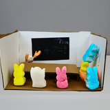 Entry image for 67 Peep Class