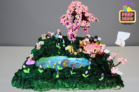 Entry image for The Weepy Cherry Blossom!. Clicking this image will show a larger photo