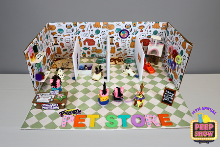 Entry image for Adoption Day at the PeepStore. Clicking this image will show a larger photo