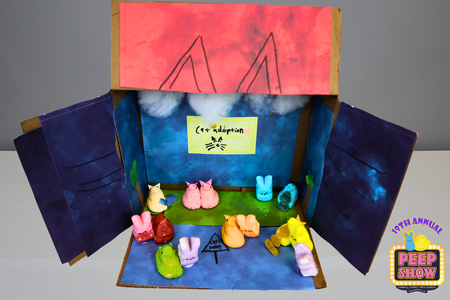 Entry image for Cat adoption. Clicking this image will show a larger photo