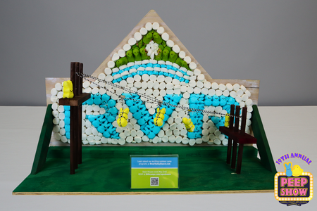 Entry image for Peeps Zip Line!. Clicking this image will show a larger photo