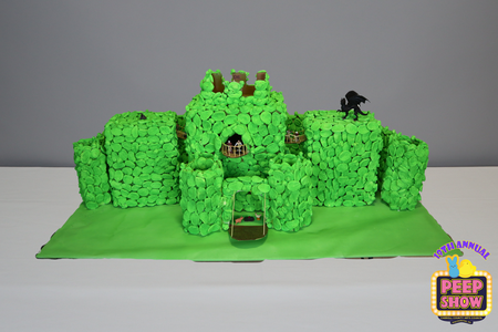 Entry image for Defend the Castle. Clicking this image will show a larger photo