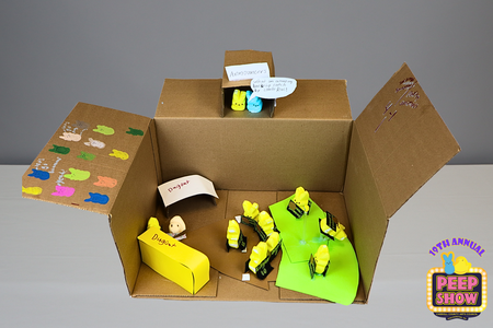 Entry image for Savannah Peepnanas Backflip Catch!. Clicking this image will show a larger photo