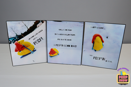 Entry image for The Little Snow Peep. Clicking this image will show a larger photo