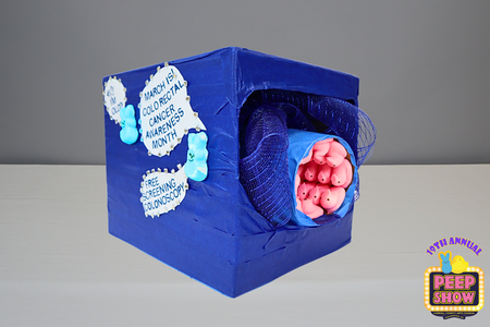 Entry image for Let's take a PEEP at your Polyps. Clicking this image will show a larger photo