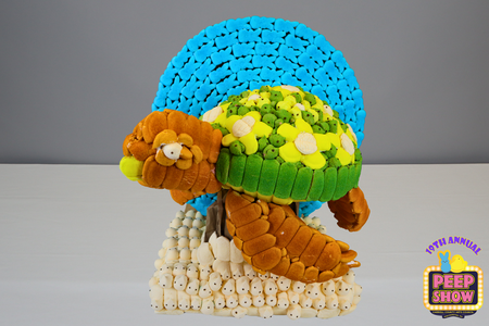 Entry image for Timmy Turtle. Clicking this image will show a larger photo