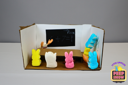 Entry image for 67 Peep Class. Clicking this image will show a larger photo