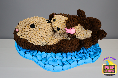 Entry image for This Peep is Otterly Adorable. Clicking this image will show a larger photo