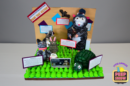 Entry image for Name that Vector!. Clicking this image will show a larger photo