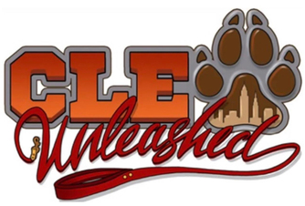 CLE Unleashed