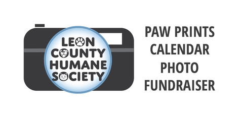 Logo for Paw Prints Calendar Contest Fundraiser