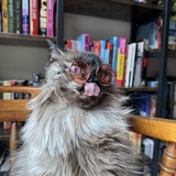 Entry image for Eloise