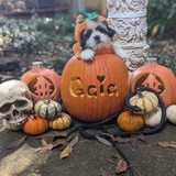 Entry image for Gaia