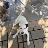 Entry image for Benny