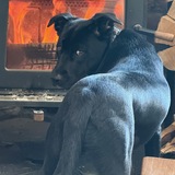 Entry image for Roxy