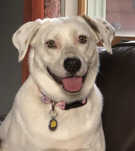 Entry image for Phoebe. Clicking this image will show a larger photo