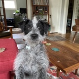 Entry image for Edith