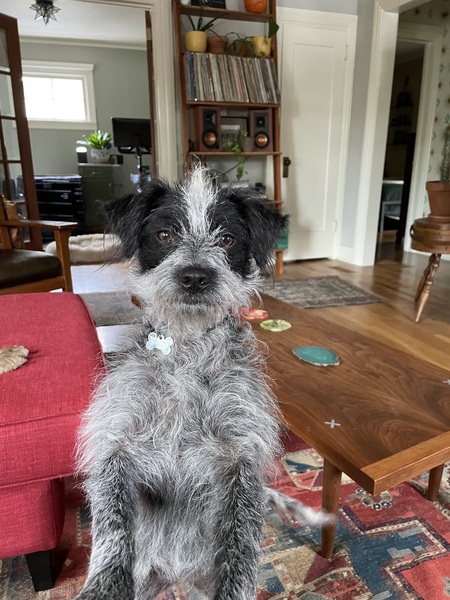 Entry image for Edith. Clicking this image will show a larger photo