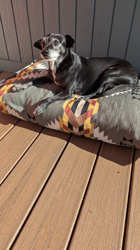 Entry image for Charlie. Clicking this image will show a larger photo