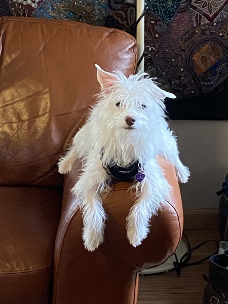 Entry image for Caz. Clicking this image will show a larger photo