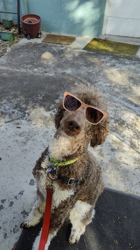 Entry image for Kuiper. Clicking this image will show a larger photo