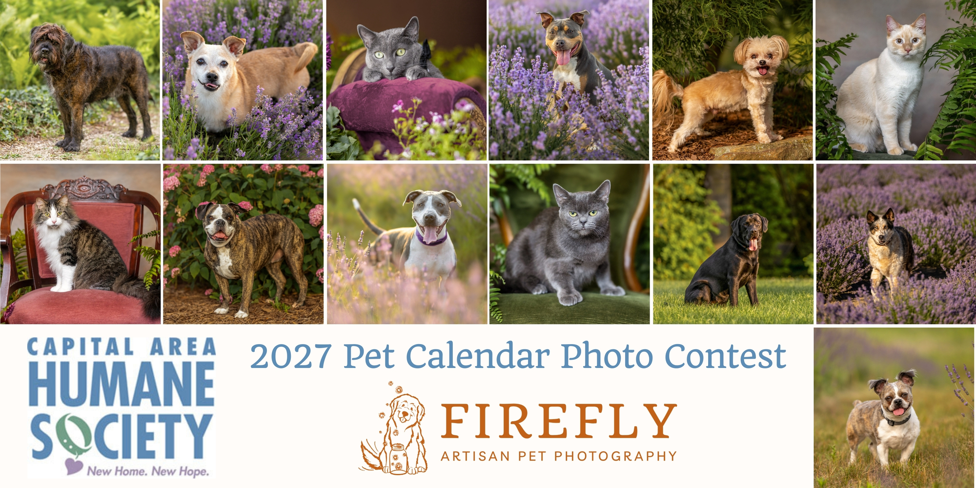 Banner for Capital Area Humane Society 2027 Calendar Contest