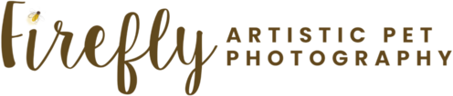https://fireflypetphotography.com/