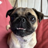 Entry image for Citali Marie