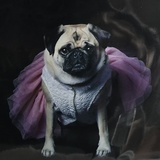 Entry image for CalamityJane 