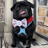 Entry image for Nemo